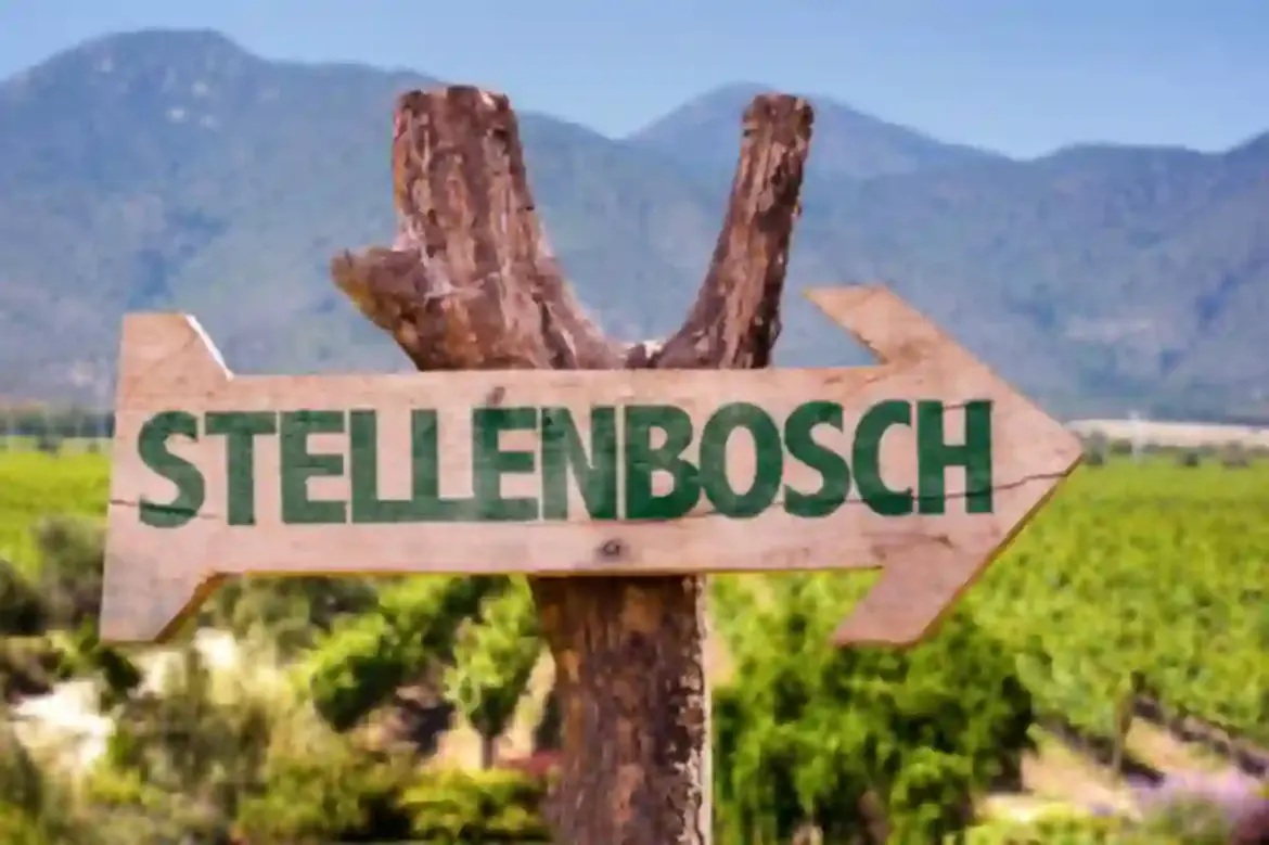 Authorities Investigate Fatal Incident After Vehicle Accident Involving Three-Year-Old at Glenelly Wine Estate in Ida’s Valley