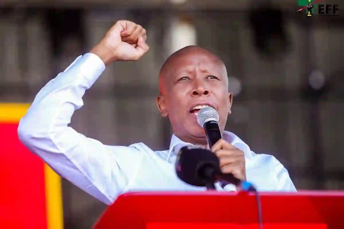 Malema