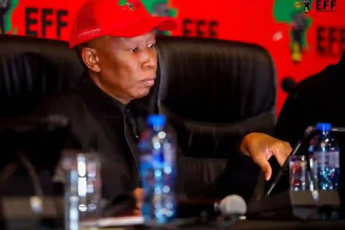 Malema