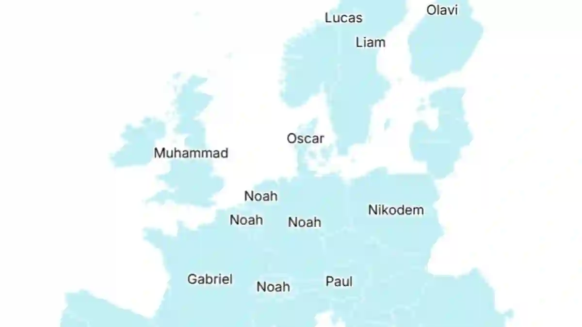 Reveals Noah