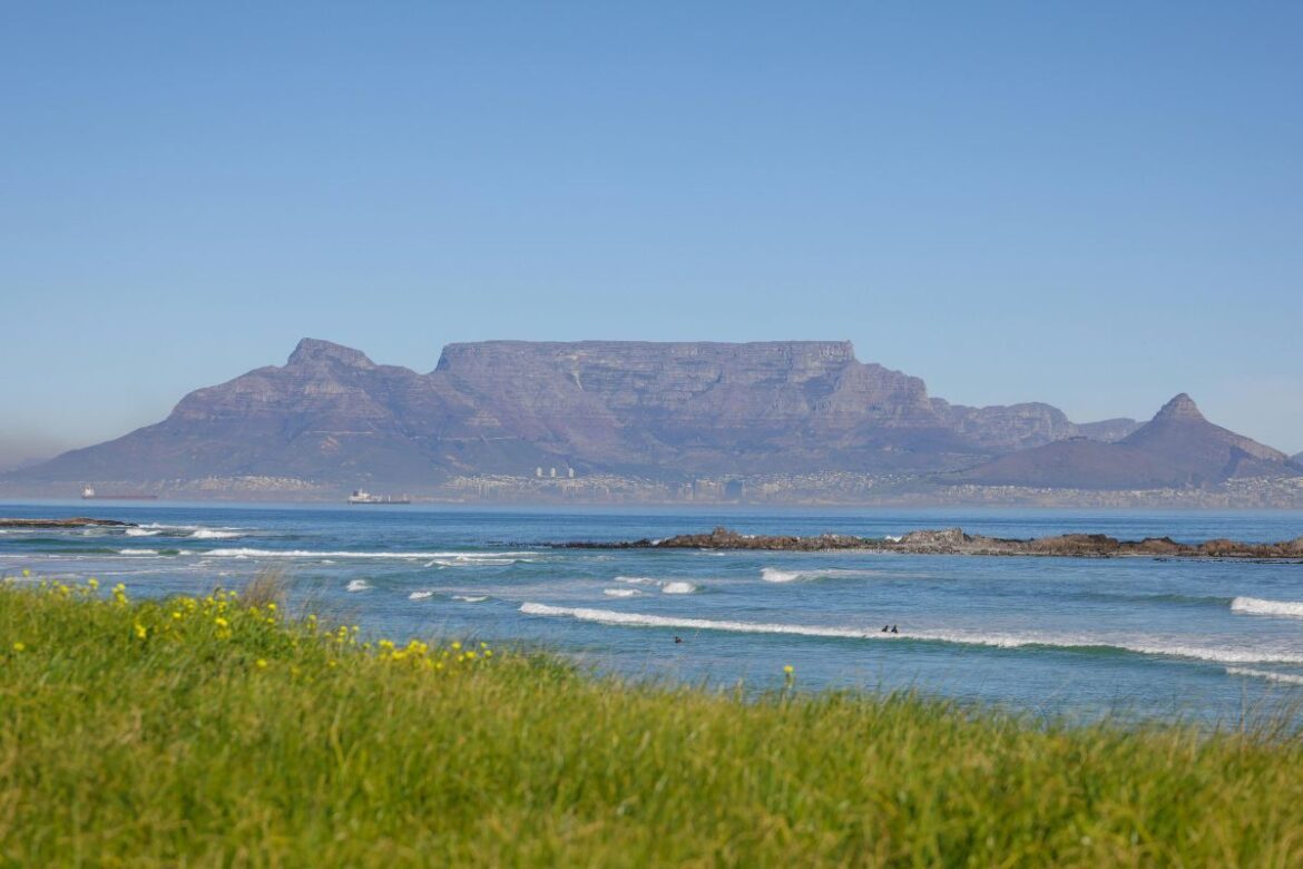 Visitors explore Tokai Forest trails and scenic landscapes while enjoying outdoor activities in Cape Town