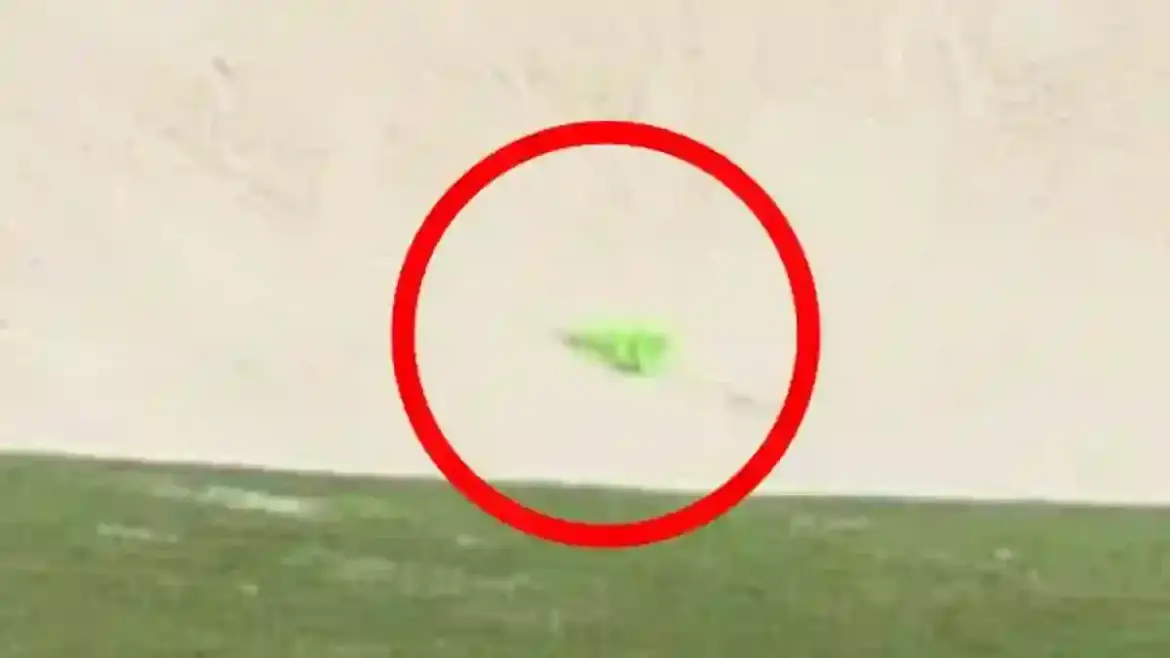 PGA Tour Champion Tommy Fleetwood Faces Disruption as Spectators Throw Neon Sex Toy onto East Lake Golf Club Green in Atlanta