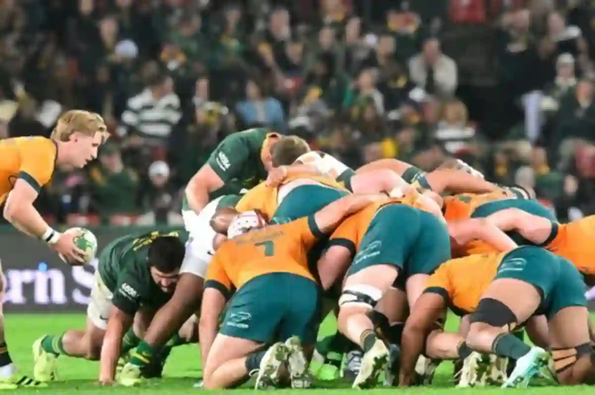 Wallabies