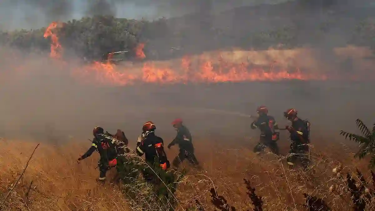 Wildfires
