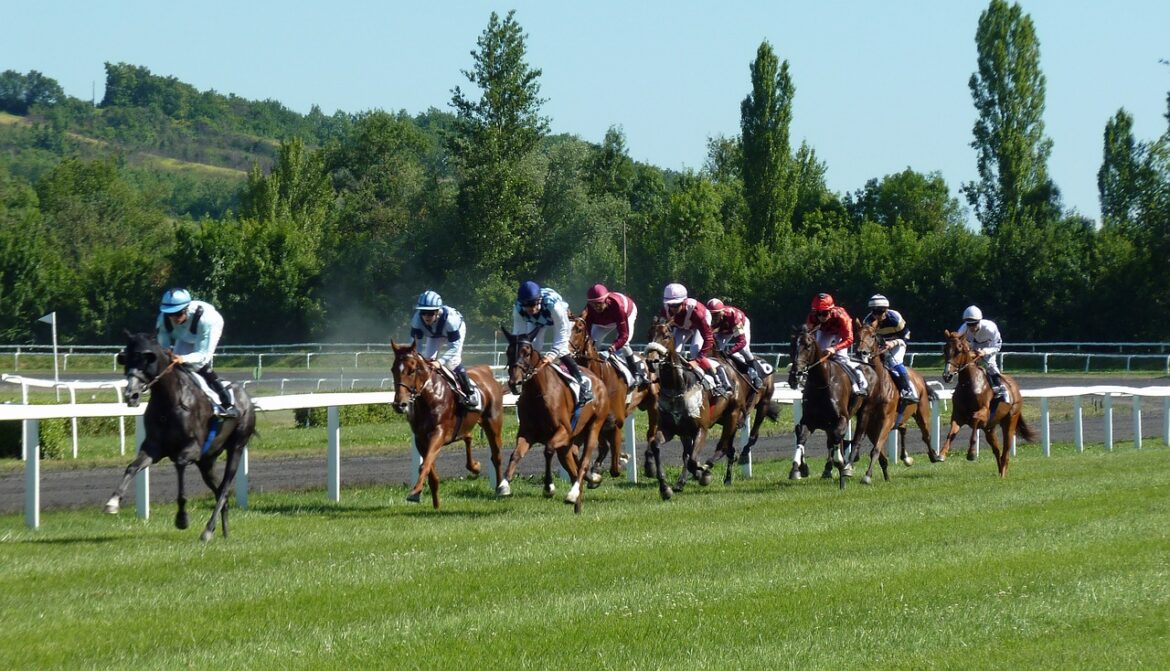 British Horseracing Authority and National Trainers Federation Descend on Westminster to Protect Funding and Jobs Threatened by Proposed Tax Changes