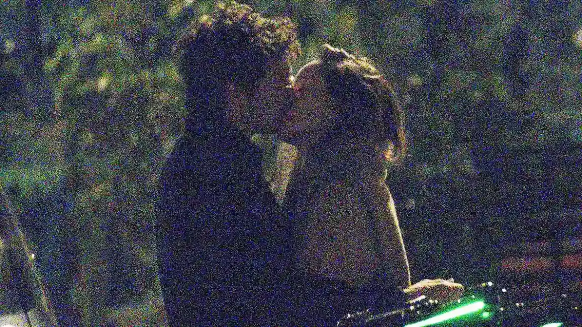 Caspar Jopling sparks romance with Olivia Wilde as couple share public kiss during date in Notting Hill London