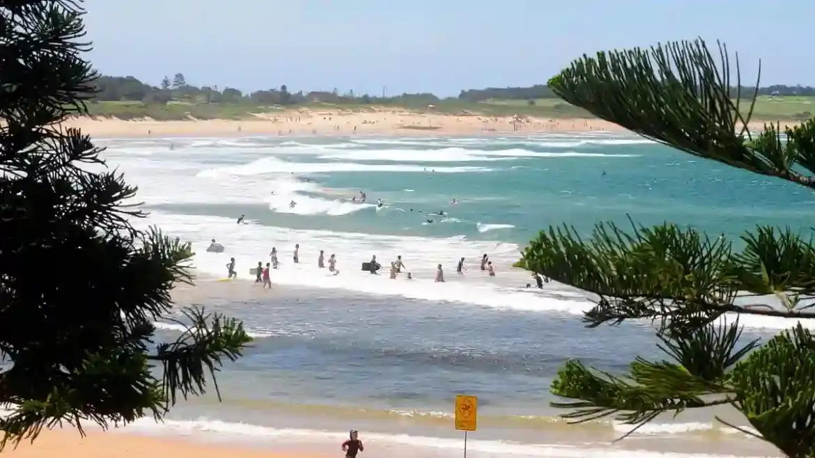 A swimmer is killed by a shark at Dee Why Beach in Sydney’s Northern Beaches during Saturday morning