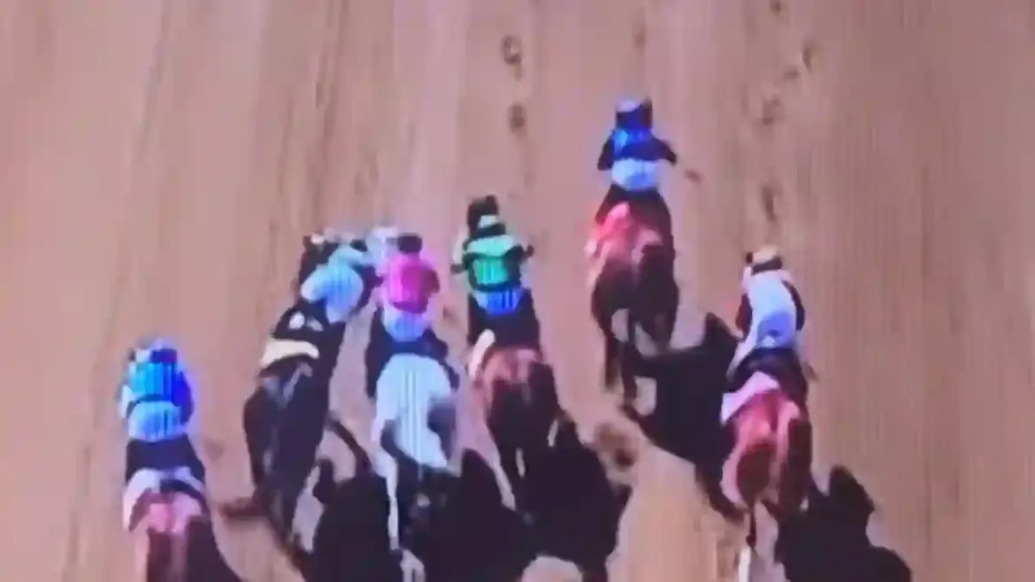 Jockey Irad Ortiz Jr loses control and attempts to climb rival horse before being trampled at Saratoga Race Course during Jockey Club Gold Cup
