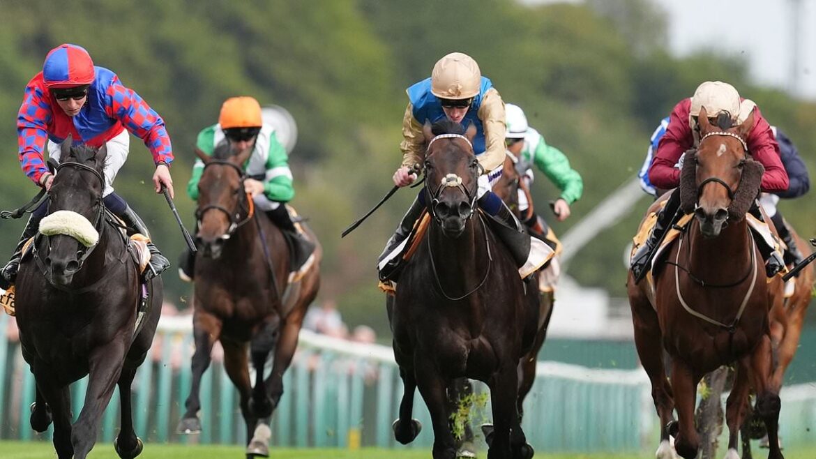 Jim Boyle and Leading Epsom Trainers Warn That Rising Online Betting Duties Could Threaten the Future of British Horse Racing