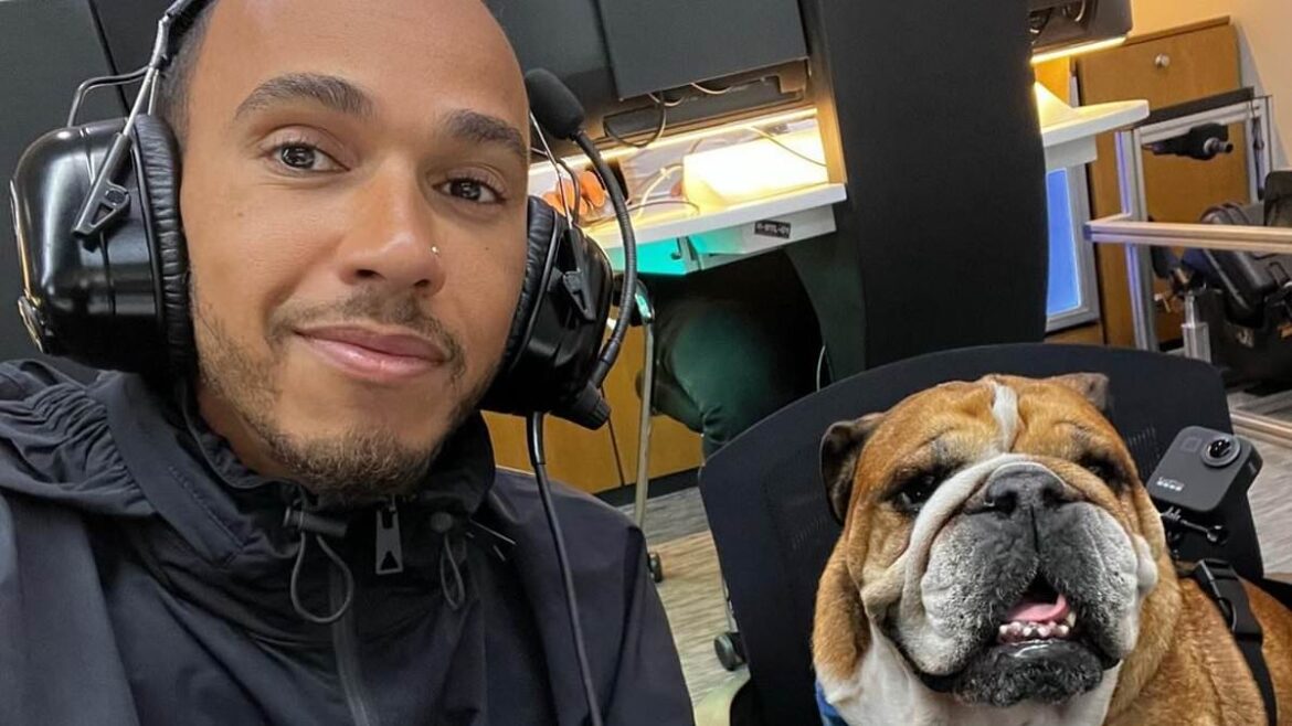 Lewis Hamilton shares emotional update as beloved bulldog Roscoe battles worrying health scare in London veterinary clinic