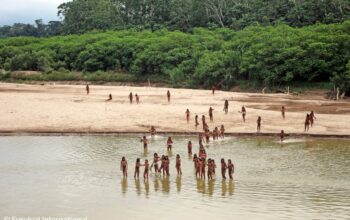Mashco Piro tribe