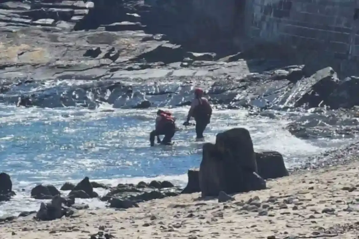 Authorities Discover Deceased Person Near Sea Point Pavilion on Sunset Beach Sending Shock Through Cape Town Community