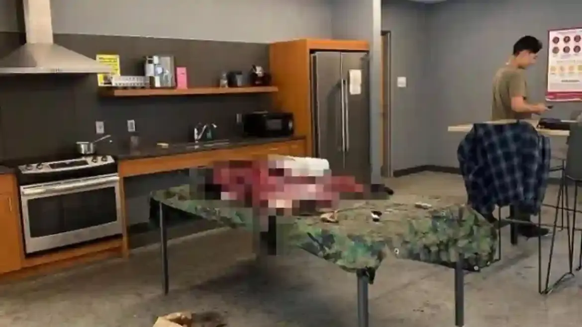 Two Cornell students spark outrage after slaughtering and skinning a black bear inside their dorm on North Campus in Ithaca New York