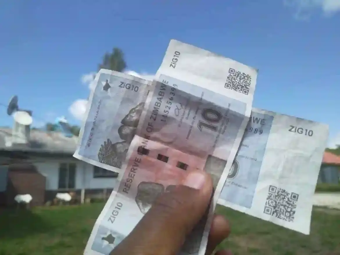 Zimbabwe Plans to Replace Multi-Currency System with ZiG as the Sole Legal Tender for Domestic Transactions