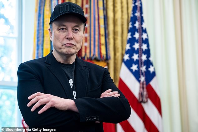 German climate activist Naomi Seibt seeks asylum in the United States with Elon Musk’s support after claiming her life is in danger in Germany 4 Elon Musk