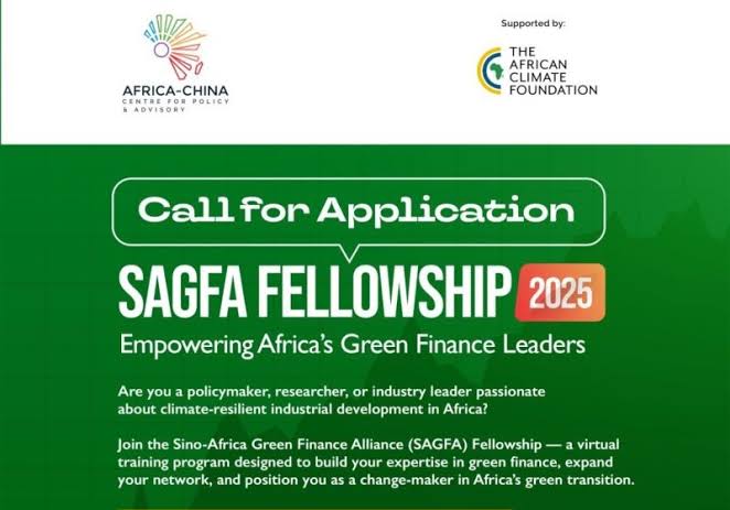 Sino-Africa Green Finance Alliance supports African experts to design climate-friendly financial systems through an eight-week virtual programme