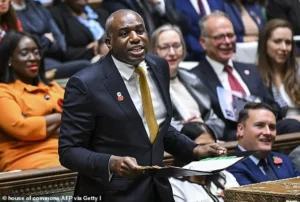 David Lammy