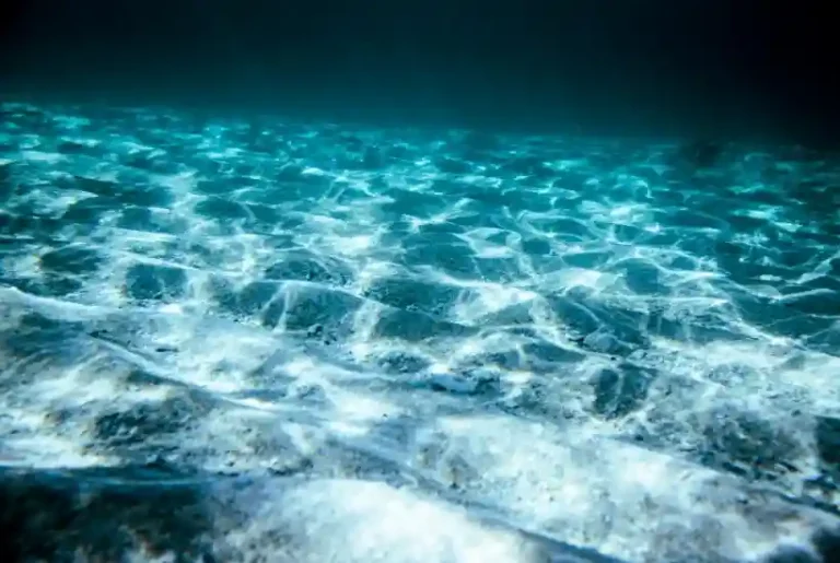 Ocean Warming