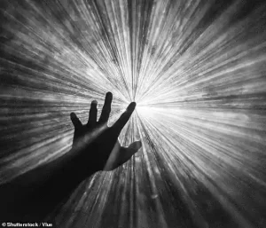 Professor Maria Strømme