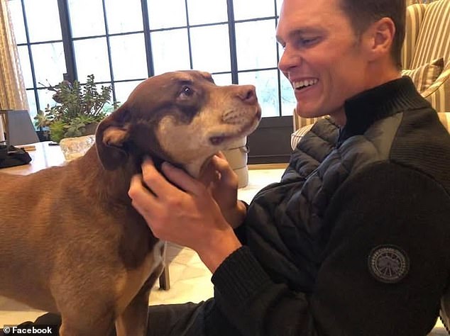 Tom Brady Shares Emotional Story of Cloning Late Dog Lua and Bringing New Puppy Junie Into His Home in America