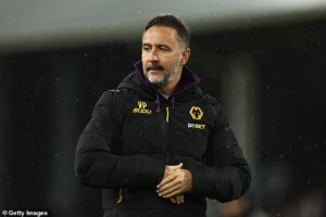 Vitor Pereira