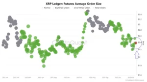 XRP Holders