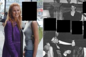 Epstein Files Reveal Prince Andrew and Celebrity Connections