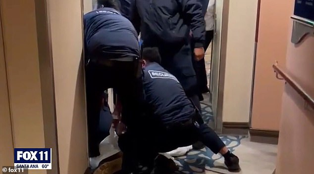 Grieving Fiancée Confronts Cruise Ship Crew After Her Fiance Dies and Body Is Stored in Freezer Off the Coast of Los Angeles