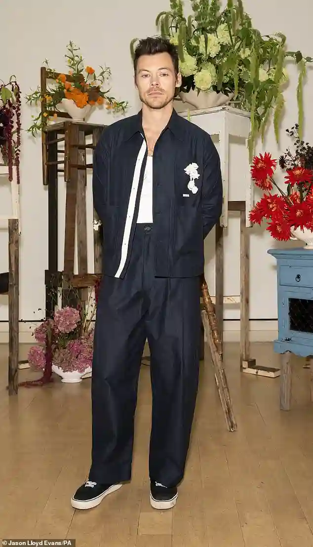 Harry Styles Begins Work on £18 Million Hampstead Mega-Mansion After Six Years of Planning and Property Purchases in London