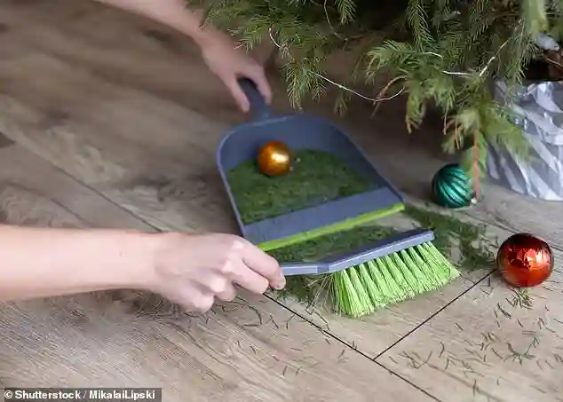 Consumer Seeks Refund After Christmas Tree Advertised as Non Drop Sheds Needles Excessively Within a Week at Local Farm