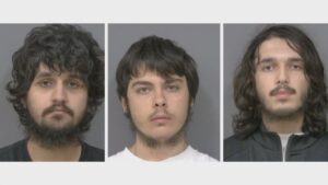 Waleed Khan, Osman Azizov, and Fahad Sadaat