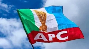 APC Flag