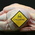 Chlorine-processed chicken