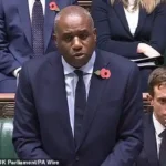 David Lammy
