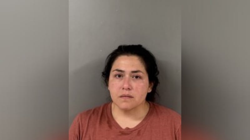 Alabama mother faces manslaughter charges after her child discovers a loaded gun that fatally wounds a two-year-old boy in the family home