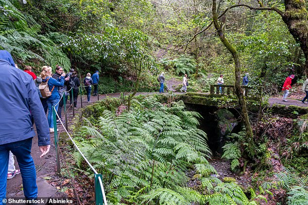 Madeira raises hiking trail fees and limits visitor numbers as the popular Portuguese island dubbed the Hawaii of Europe cracks down on overcrowding