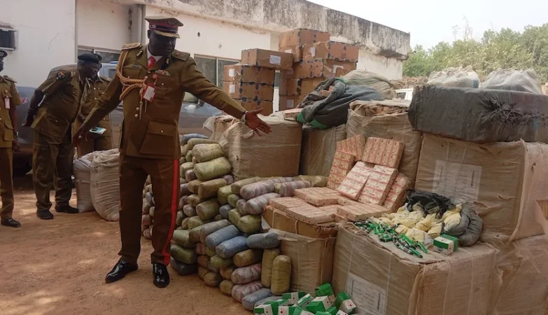 NDLEA Jigawa Commander, Hassan Kabaju