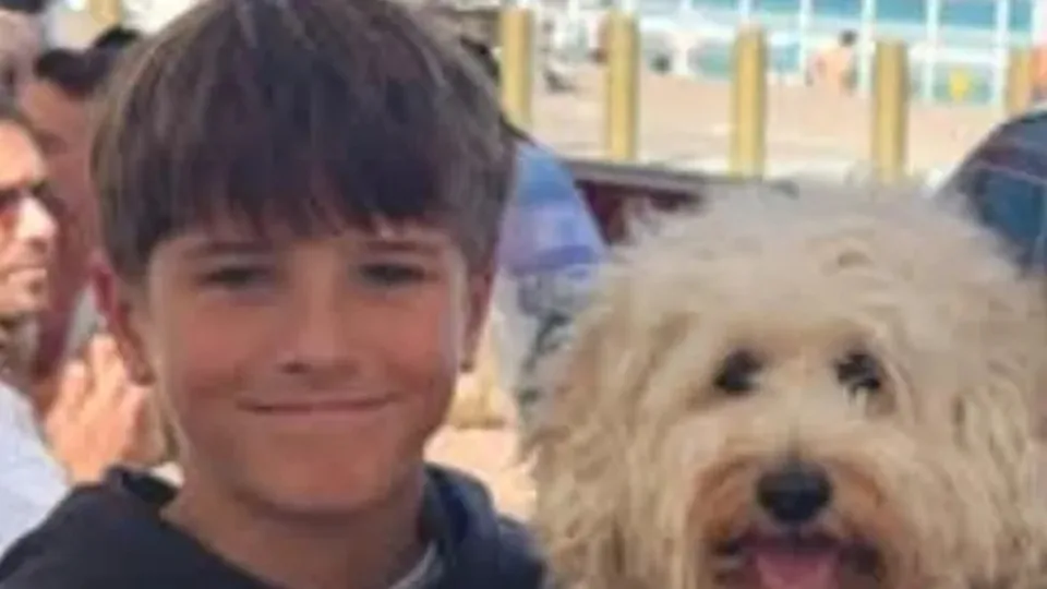 Parents and Extended Family Fly to Australia to Be with 12-Year-Old Son Hospitalized After Horrific Shark Attack in Sydney Harbour