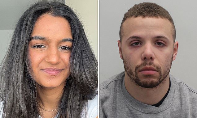 Van driver admits killing university student in tragic crash outside King’s College London leaving two others injured