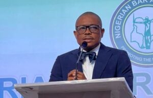 NBA President Afam Osigwe raises alarm over alleged misuse of Cybercrimes Act to suppress free speech in Nigeria