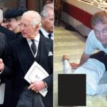 Andrew Mountbatten-Windsor and King Charles