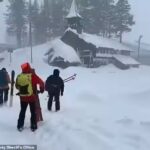 Avalanche Sweeps Through Sierra Nevada Killing Eight Skiers and Leaving One Missing Near Lake Tahoe
