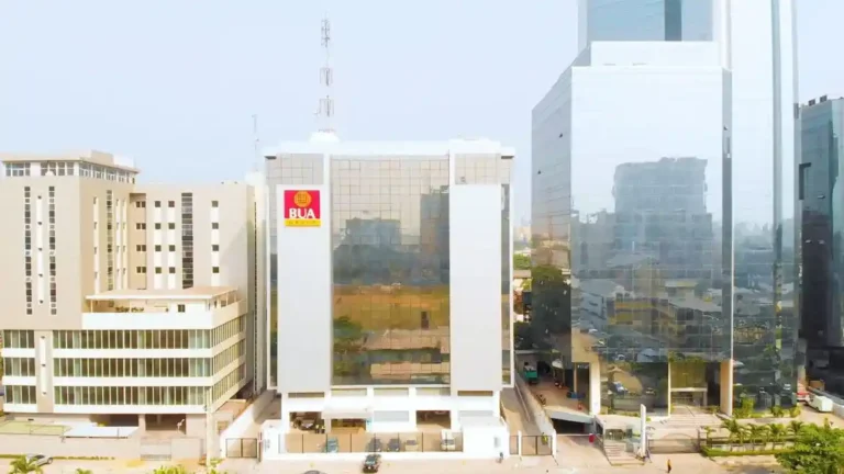 BUA Foods Plc appoints Khalifa Rabiu as Chief Officer to strengthen global procurement and strategic operations in Nigeria