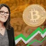 Cathie Wood’s Ark Invest doubles down on crypto-proxy assets as institutional investors signal confidence in digital infrastructure across the United States