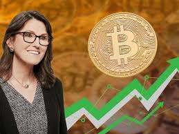 Cathie Wood’s Ark Invest doubles down on crypto-proxy assets as institutional investors signal confidence in digital infrastructure across the United States