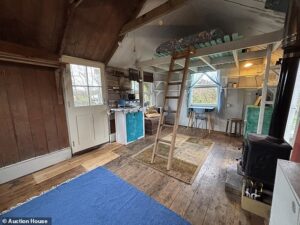 Catrina Davies puts famous Cornwall shed featured in Homesick memoir up for auction offering unique coastal retreat near Land’s End