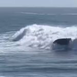 Surfers including Darryl Flea Virostko save family of six after speedboat capsizes in 12 foot wave off Santa Cruz California