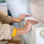 More than 2,500 people die in England last winter as cold weather and fuel poverty take deadly toll on elderly population