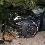 Federal Judge Beth Bloom upholds nearly 250 million dollar verdict against Tesla over fatal Autopilot crash that killed Naibel Benavides Leon in Key Largo Florida