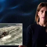 Investigative Journalists Reveal How Four Divers Died During Offshore Pipeline Maintenance in Trinidad and Tobago